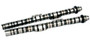 BLOX Racing Type-B Street/Strip Camshafts for K20A2