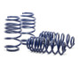 H&R 14-18 Volkswagen Jetta S/SE/SEL/GLI MK6 Race Spring