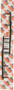8" Competition Carbides Pro Ski/curve