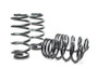 H&R 02-03 Audi S6 Avant (AWD) Sport Spring