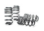 H&R 03-04 Audi RS6/RS6 Avant (AWD) Sport Spring
