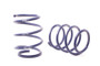 H&R 04-06 BMW 545i E60 Sport Spring (w/Self Leveling)