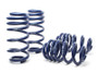 H&R 06-11 Audi A6 Avant/A6 Avant Quattro (2WD/AWD) 4F Sport Spring