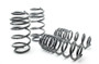 H&R 06-11 Volkswagen Passat Wagon VR6/TDI/1.8T/2.0L Sport Spring (Non 4Motion)