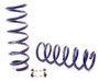 H&R 10-16 BMW 535i Gran Turismo/550i Gran Turismo F07 Sport Spring (w/Self-Leveling)