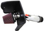 K&N 10-11 Toyota Tundra/Sequoia 4.6L V8 High Flow Performance Intake