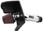 K&N 10-11 Toyota Tundra/Sequoia 4.6L V8 High Flow Performance Intake