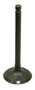 Intake Valve