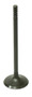 Intake Valve