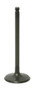 Intake Valve