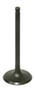 Intake Valve
