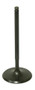 Intake Valve