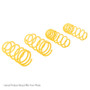 ST Muscle Car Springs Ford Mustang