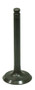 Exhaust Valve