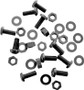 Windshield Screw Kit