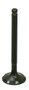Exhaust Valve