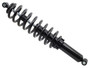 Gas Shock Rear