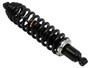 Gas Shock Rear