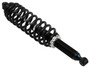 Gas Shock Rear