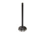 Exhaust Valve A/c