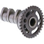 Hot Cams 01-13 WR 250 F/01-13 YZ 250 F Intake Camshaft - Stage 2