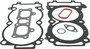 Top End Gasket Kit Bb 98.00/+5.0 Pol