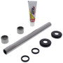 Pivot Works 13-20 Honda CRF250L Swing Arm Kit