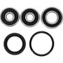 Pivot Works 83-06 Yamaha PW80 Rear Wheel Bearing Kit