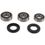 Pivot Works 88-91 Suzuki RM250 Rear Wheel Bearing Kit