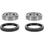 Pivot Works  E-TON IXL-40 Rascal Rear Wheel Bearing Kit