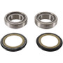 Pivot Works 73-85 Honda ATC70 Steering Stem Bearing Kit