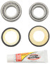 Pivot Works 95-97 Honda CR125R Steering Stem Bearing Kit