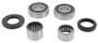 Pivot Works 09-17 Yamaha XVS95 V STAR Rear Wheel Bearing Kit