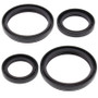 All Balls Racing 04-05 Arctic Cat 250 4x4 Differential Seal Only Kit Front