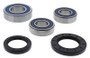 All Balls Racing 06-07 Suzuki GSR600 (Euro) Wheel Bearing Kit Rear