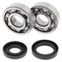 All Balls Racing 01-04 Yamaha YZ125 Crank Shaft Bearing Kit