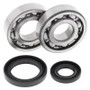 All Balls Racing 86-88 Suzuki RM250 Crank Shaft Bearing Kit