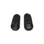 ARB / OME Set of Coil Springs