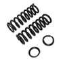 ARB / OME Front Coil Springs