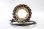 Ricks Motorsport New Hot Shot Series Honda Stator