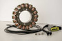 Ricks Motorsport New OEM European Style Yamaha Stator