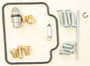 Carburetor Repair Kit