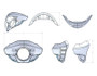 Burly Brand Touring Sport Fairing Standard