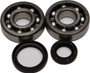 Crankshaft Bearing/seal Kit