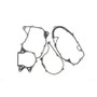Cometic 73-74 Honda CR250 Bottom End Gasket Kit