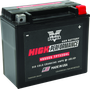 Twin Power YTX-20HL High Performance Battery Replaces H-D 65989-97A Made in USA 310 CCA