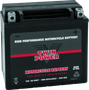 Twin Power YTX-14L High Performance Battery Replaces H-D 65958-04 Made in USA 200 CCA