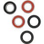 Pivot Works Premium Wheel Bearing
