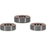 Pivot Works Premium Wheel Bearing