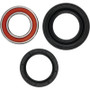 Pivot Works Premium Wheel Bearing